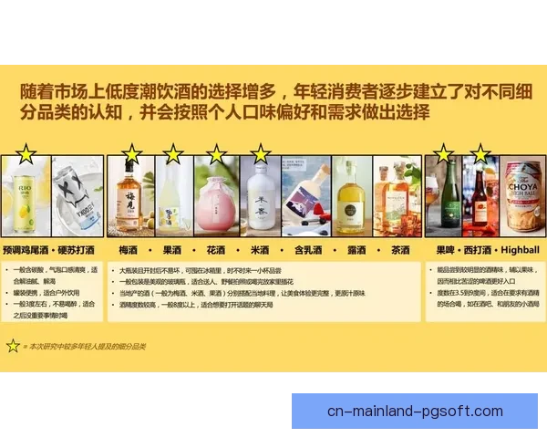 2026世界杯球迷白皮书发布全球球迷文化消费趋势与赛事经济新格局解析